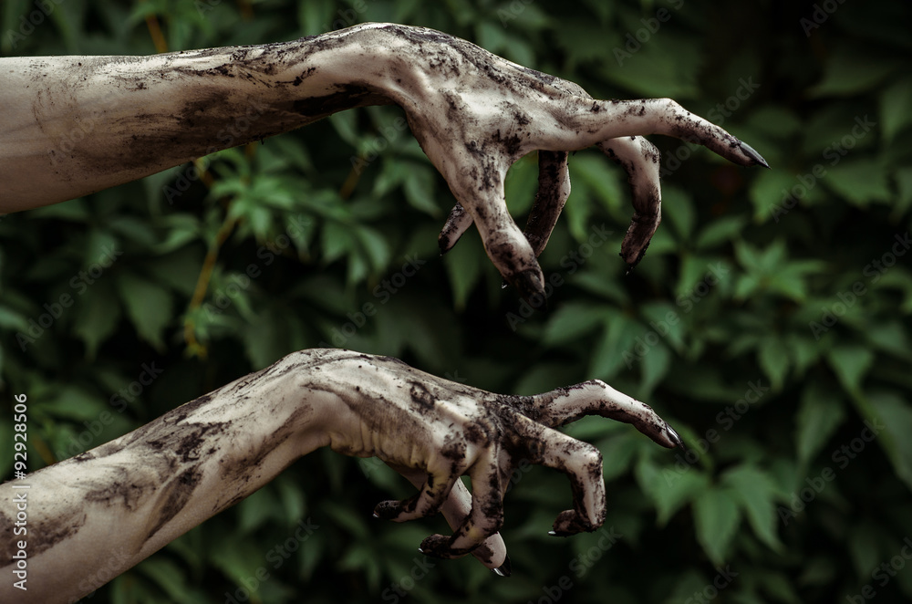 Horror and Halloween theme: Terrible zombie hands dirty with black nails reaches for green leaves, walking dead apocalypse Horror and Halloween theme: Terrible zombie hands dirty with black nails reaches for green leaves, walking dead apocalypse