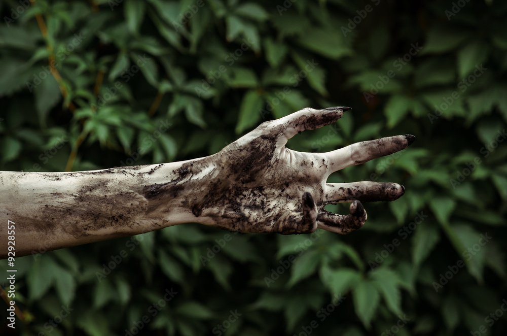 Horror and Halloween theme: Terrible zombie hands dirty with black nails reaches for green leaves, walking dead apocalypse Horror and Halloween theme: Terrible zombie hands dirty with black nails reaches for green leaves, walking dead apocalypse