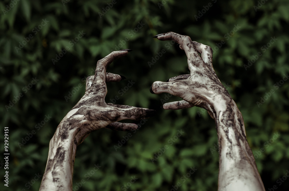 Horror and Halloween theme: Terrible zombie hands dirty with black nails reaches for green leaves, walking dead apocalypse, first-person view