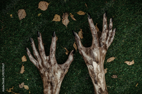 Horror and Halloween theme: Terrible zombie hands dirty with black nails lie on the green grass, the walking dead apocalypse, top view