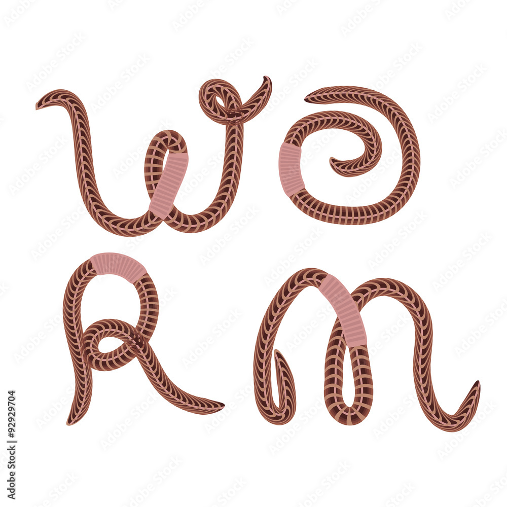Animal Earth Red Worms