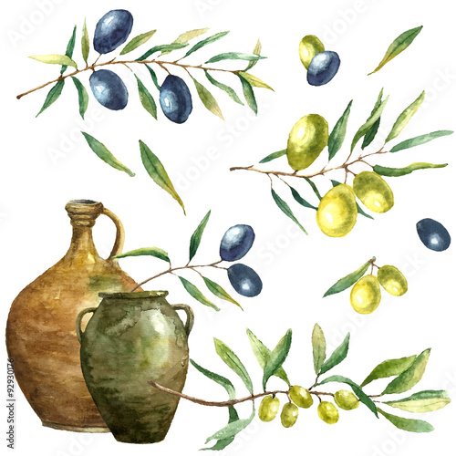 Watercolor olive branch background.