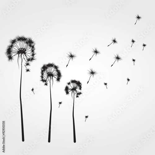 Background with the dandelions