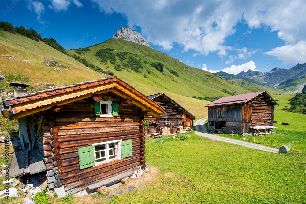 Obraz premium Typical Swiss Chalet