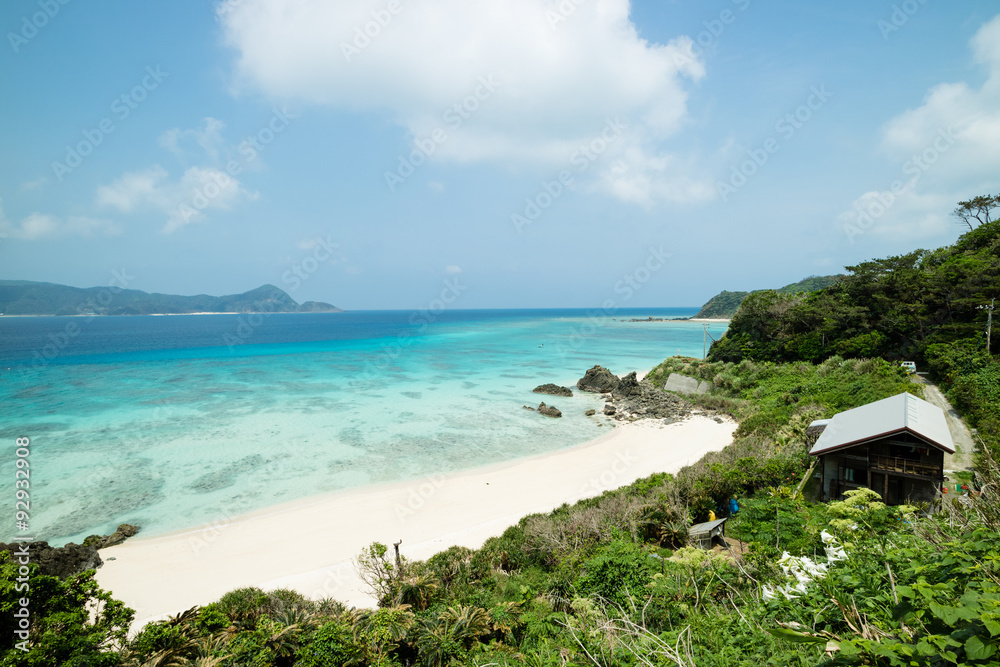 Fototapeta premium Tropical paradise island beach lagoon and white sand beach full of beautiful clear blue turquoise water in Amami Oshima, Kagoshima, Okinawa, Tropical Japan during Summer vacation