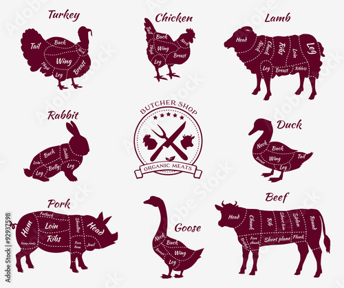 Set Schematic Vew of Animals for Butcher Shop