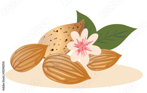 Mandeln mit Schale und Blüte