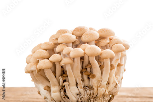 shimeji mushroom