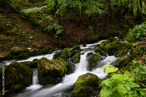 stream in the forest