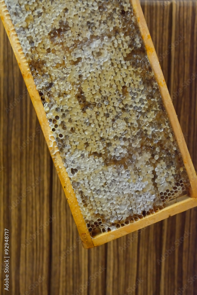 closeup of the honey in a closed frame closeup of the honey in a closed frame