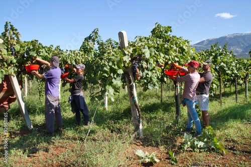 Obraz na płótnie harvesting time w salonie