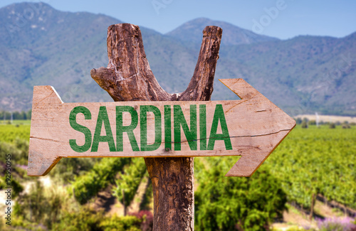 Sardinia wooden sign with winery background