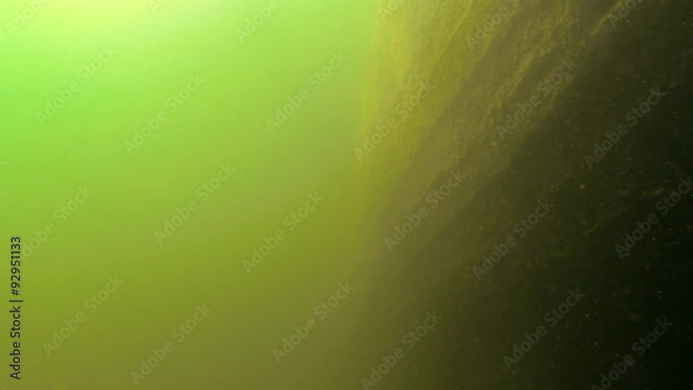 Wooden side wall boards of a sunken boat Wooden side wall boards of a sunken boat