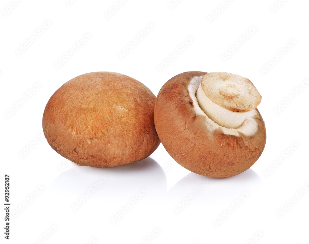 Brown champignon mushroom and rosemary leaves isolated on Brown champignon mushroom and rosemary leaves isolated on