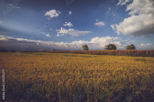 Colori d'autunno