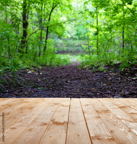 Beautiful forest. Nature background