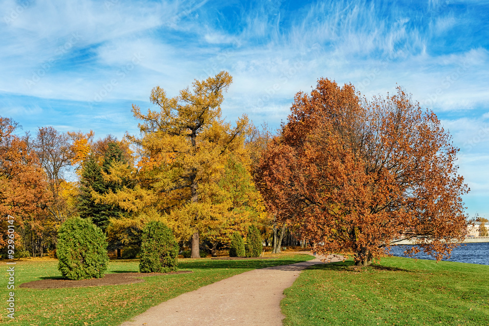 autumn park