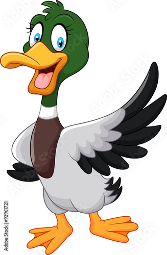 Cartoon mallard duck waving isolated on white background