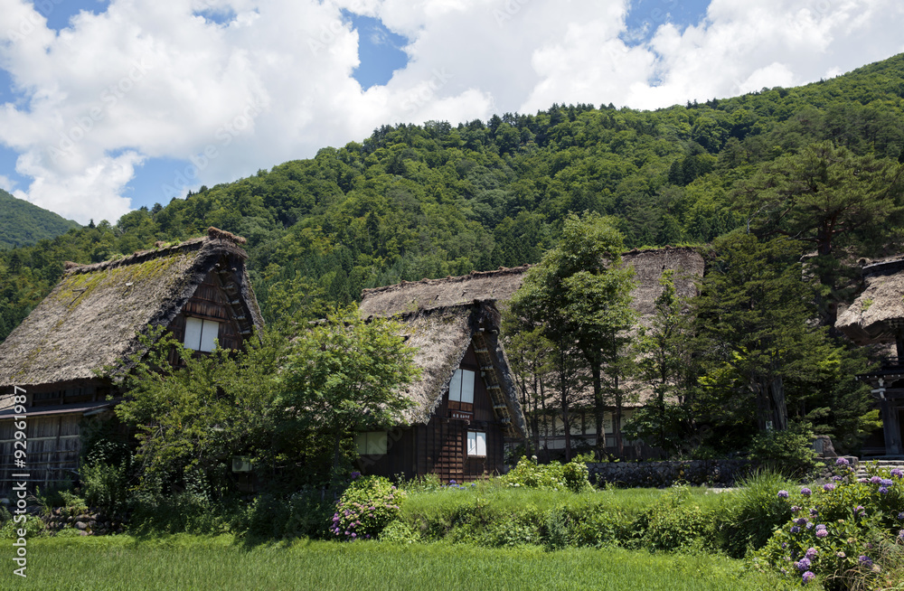 Obraz premium Historic village of Shirakawago in Japan is famous for the Gassho style architecture and is a UNESCO World Heritage Site.