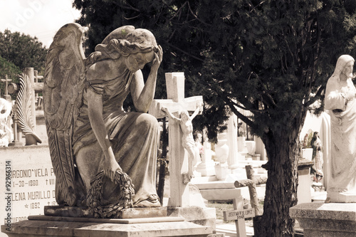 ángel y tumbas photo