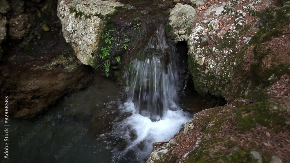 Forest stream in the rock Forest stream in the rock