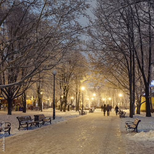 Footpath in a fabulous winter city park