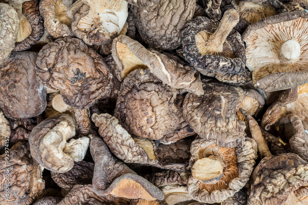 Closeup group of dried mushroom background