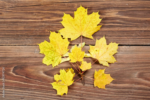 Maple leaves on a table