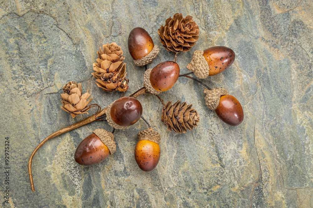 acorn and cone fall decoration