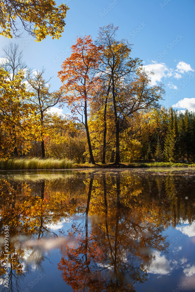 Fototapeta premium autumn park reflected in water lake