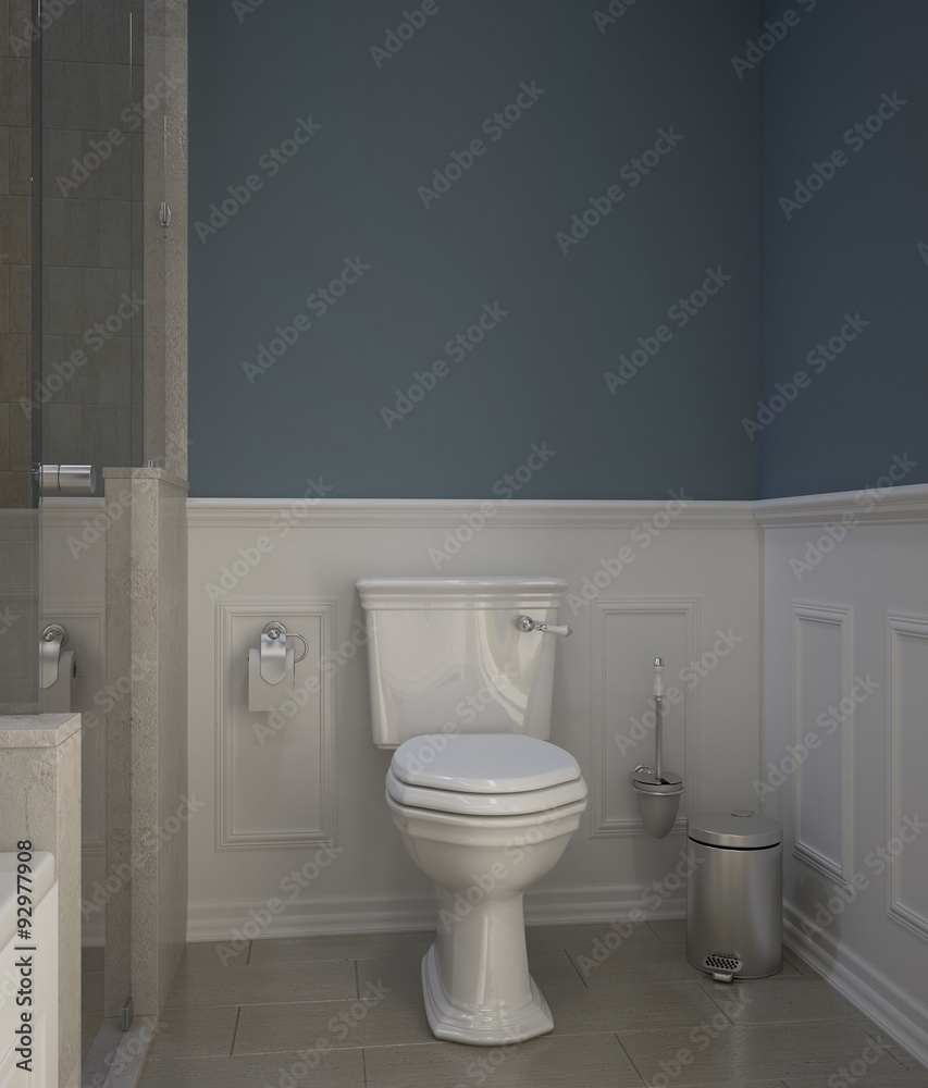 Obraz premium Classic toilet