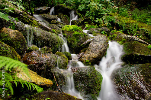 Mountain stream spring