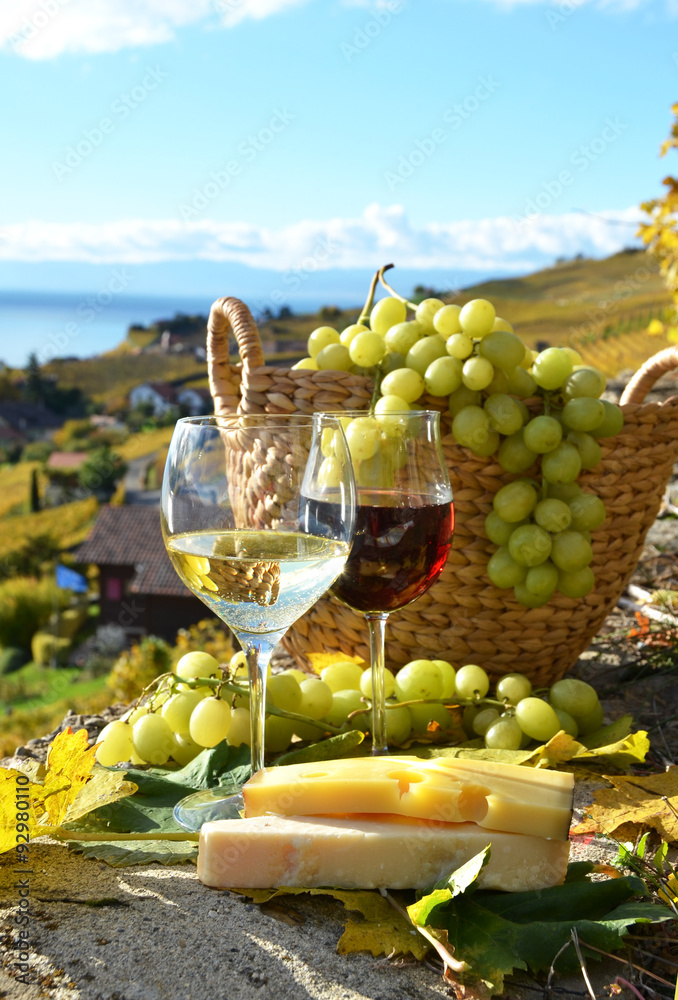 Wine and grapes. Lavaux, Switzerland