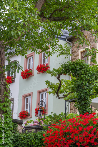 Fototapeta Naklejka Na Ścianę i Meble -  Traditional house with flower pots on its windows in Beilstein village on the river Mosel in Germany
