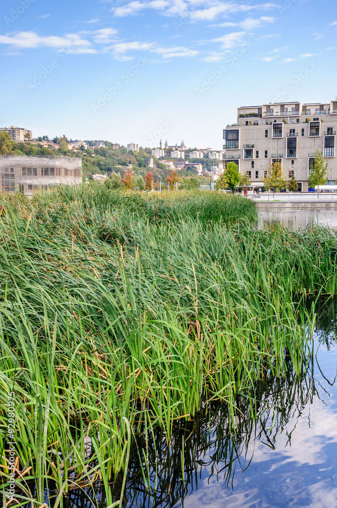 Fototapeta premium Parc des berges de Saône à Lyon