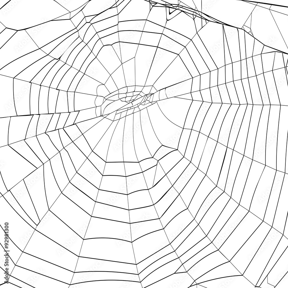 Obraz premium sylwetka pajęczyna