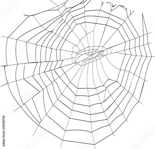 silhouette spiderweb
