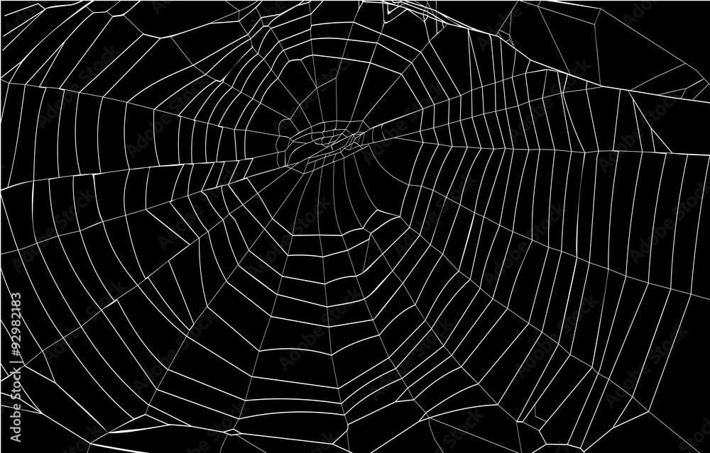 Obraz silhouette spiderweb