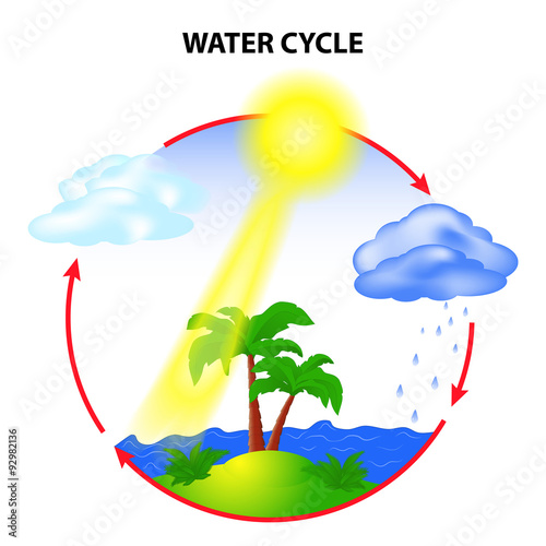 water cycle