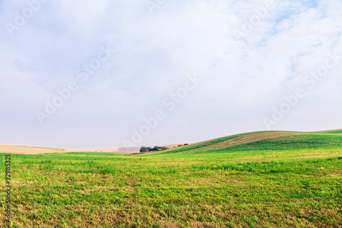 Green Field