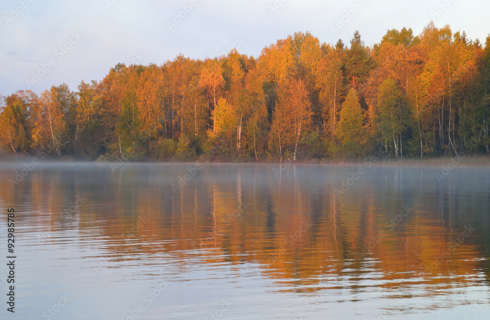 Fototapeta premium Autumn forest on the lake at sunrise.
