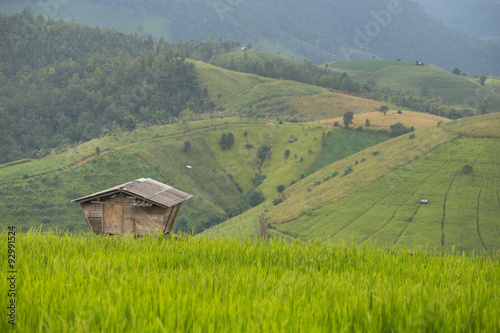 Terraced Rice fields