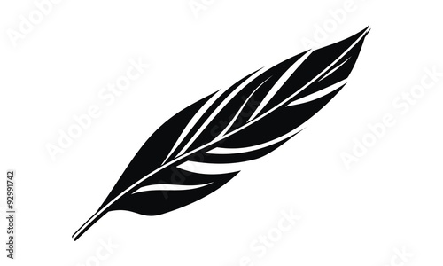 Black Feather