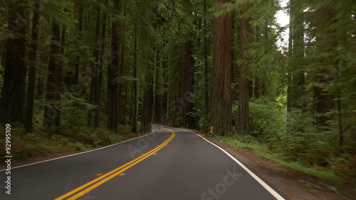 Driving on Avenue of the Giants through Humboldt Redwoods State Park, Northern California.