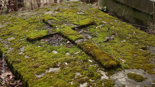 Old tomb covered green moss photo