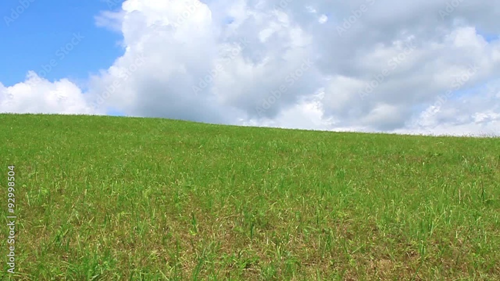 Nature Nature