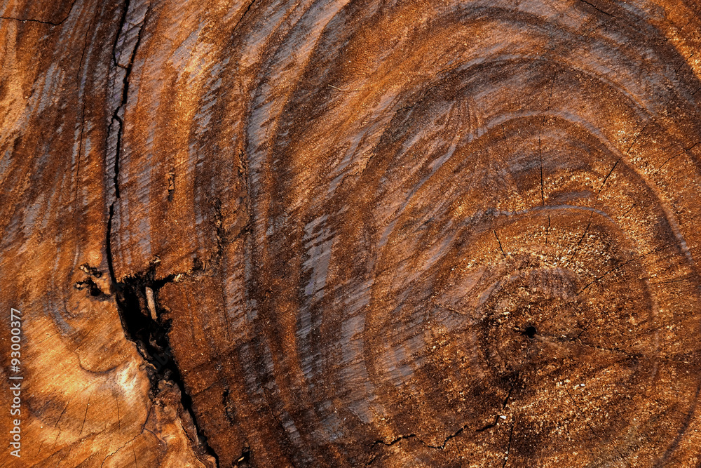 Patterns on the surface of the wood industry.