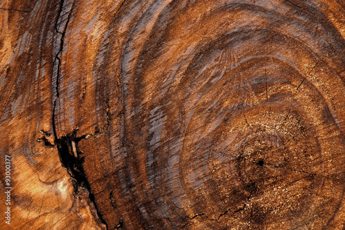 Patterns on the surface of the wood industry.
