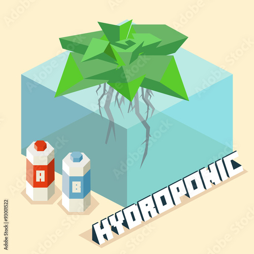 hydroponic farming system