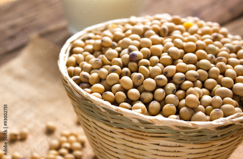 soy bean soy bean